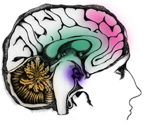 Brainwave: Teknologi Manipulasi Otak Bawah Sadar